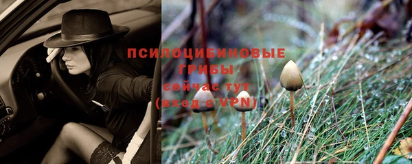 а пвп мука Алзамай